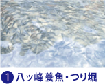 八ッ峰養魚・つり堀