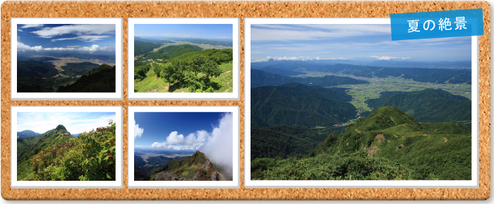 夏の絶景 フォトギャラリーへ