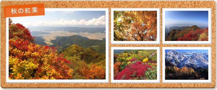 秋の紅葉 フォトギャラリーへ
