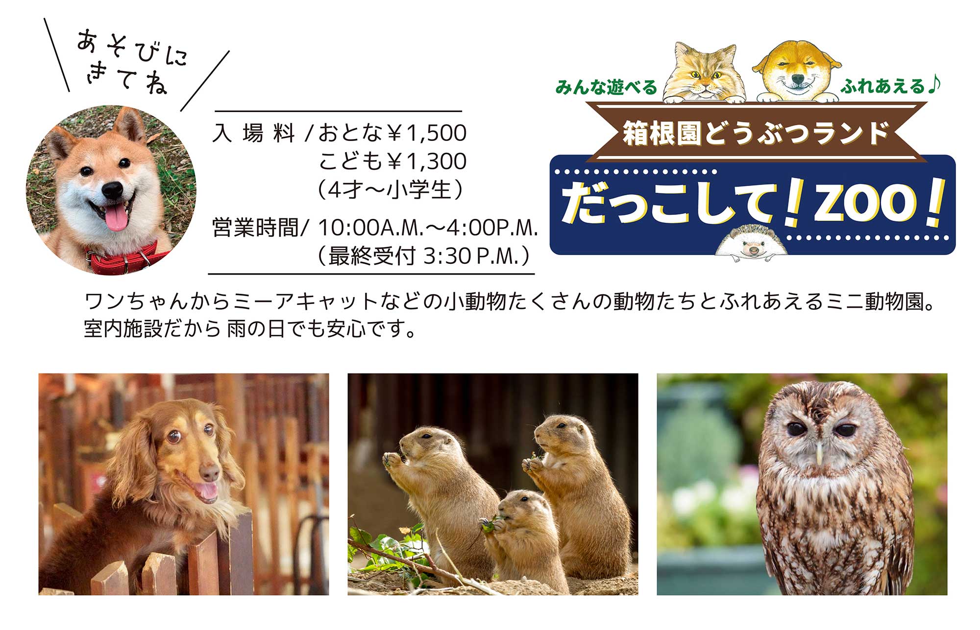 箱根園サマーナイトフェスタ