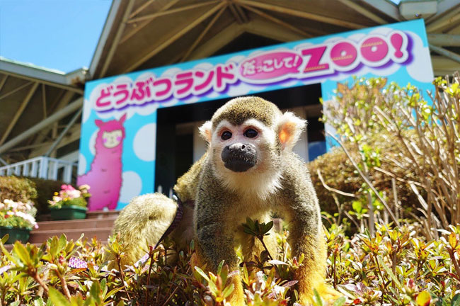 親密互動動物樂園 要抱抱！ZOO！
