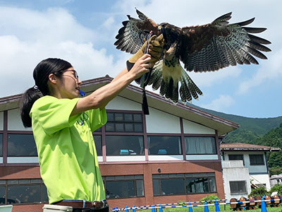 箱根園動物ランド