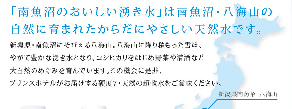 「南魚沼のおいしい湧き水」は、南魚沼・八海山の自然に育まれたからだにやさしい天然水です。