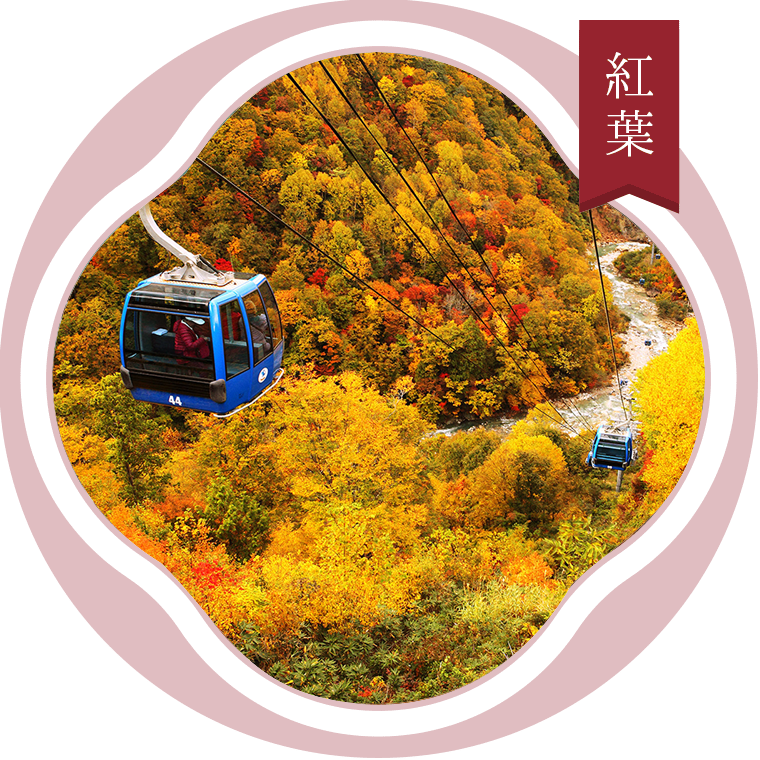 紅葉