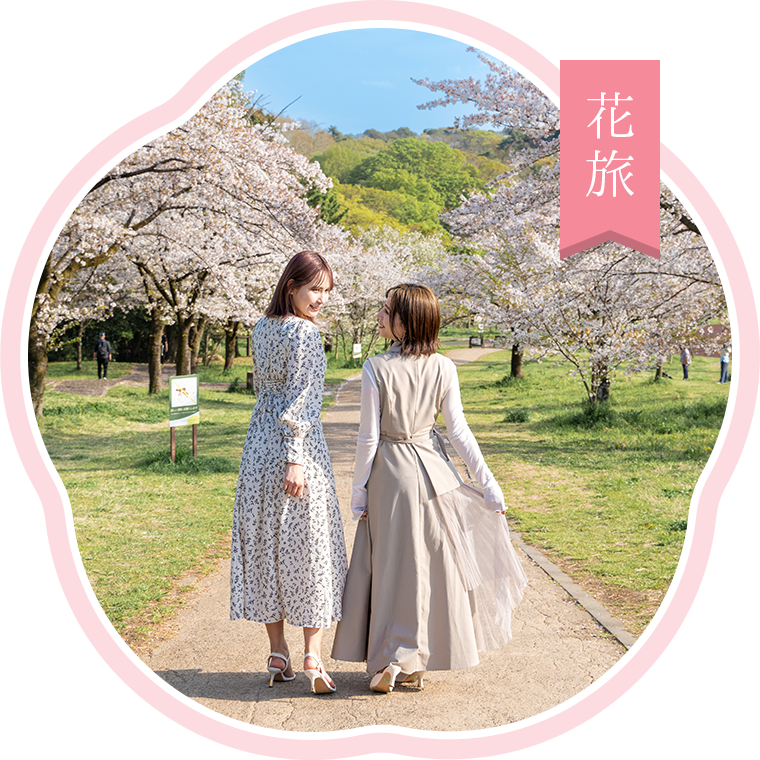 花旅