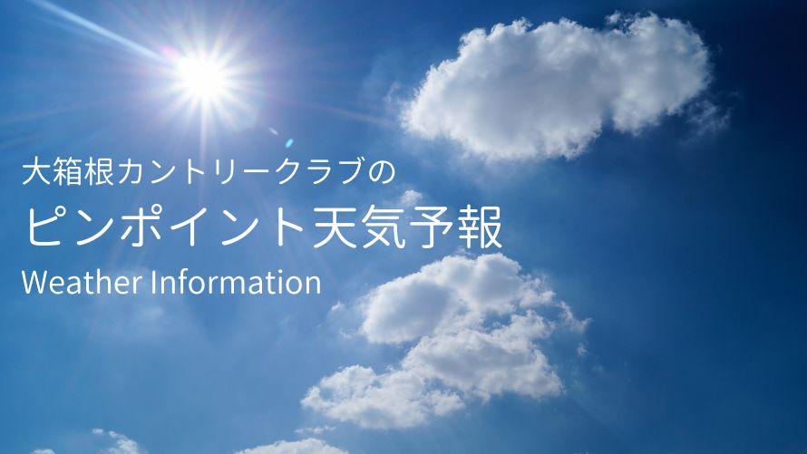 ピンポイント天気