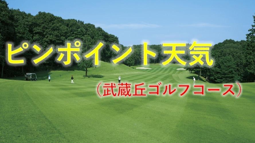ピンポイント天気（武蔵丘ゴルフコース）