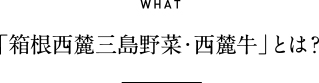 WHAT 「箱根西麓三島野菜・西麓牛」とは?