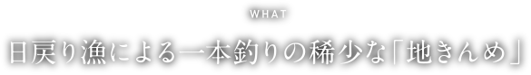 WHAT 日戻り漁による一本釣りの稀少な「地きんめ」