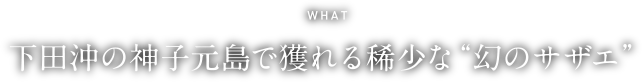 WHAT 下田沖の神子元島で獲れる稀少な“幻のサザエ”