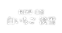 FOOD 長野県 北信　白いちご 淡雪