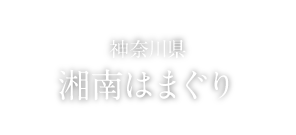 FOOD 神奈川県　湘南はまぐり