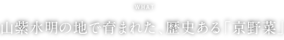WHAT 日戻り漁による一本釣りの稀少な「地きんめ」
