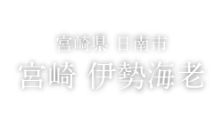 FOOD 宮崎県 日南市 宮崎伊勢海老