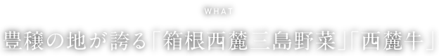 WHAT 豊穣の地が誇る「箱根西麓三島野菜」「西麓牛」
