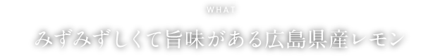 WHAT みずみずしくて旨味がある広島県産レモン