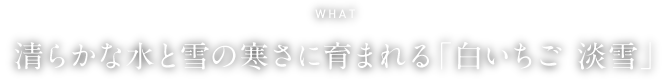 WHAT 清らかな水と雪の寒さに育まれる「白いちご 淡雪」