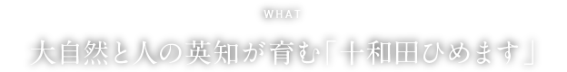 WHAT 豊穣の地が誇る「箱根西麓三島野菜」「西麓牛」