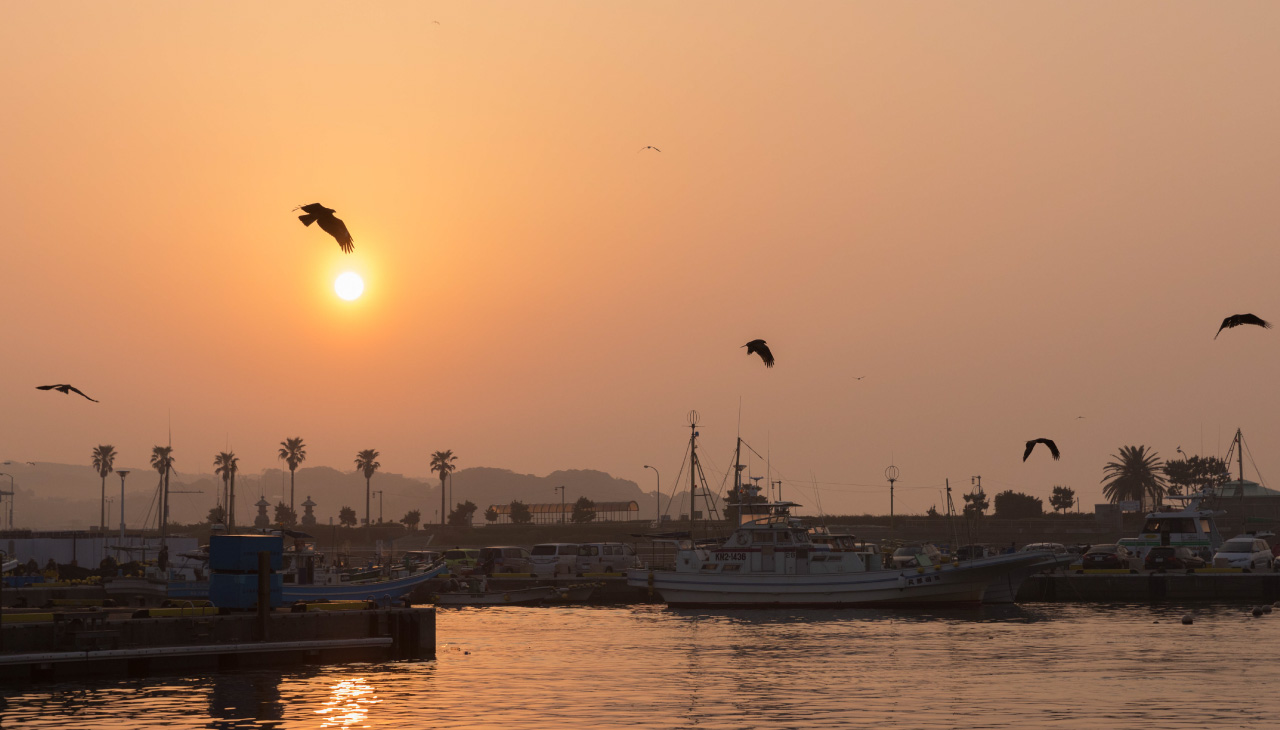 locality gourmet