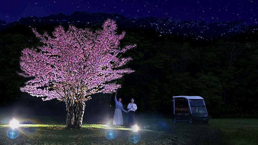 ゴルフカートで行く夜桜ツアー