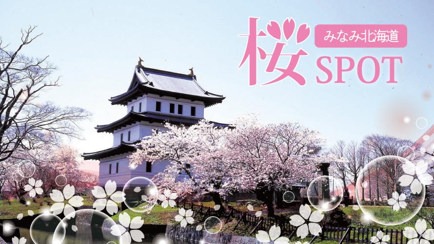 【季節のおすすめ】みなみ北海道の桜スポット