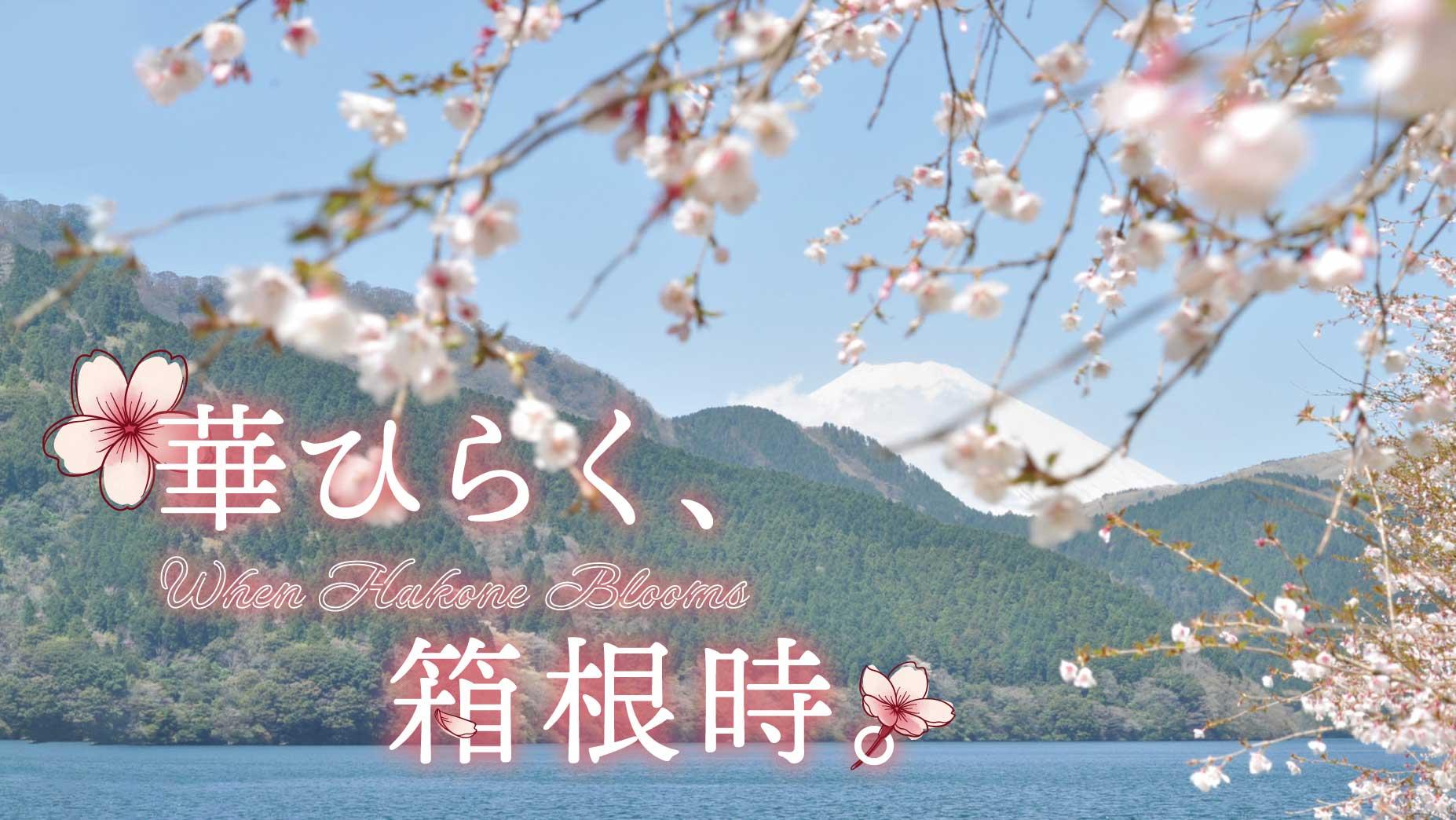 春色に染まる箱根旅