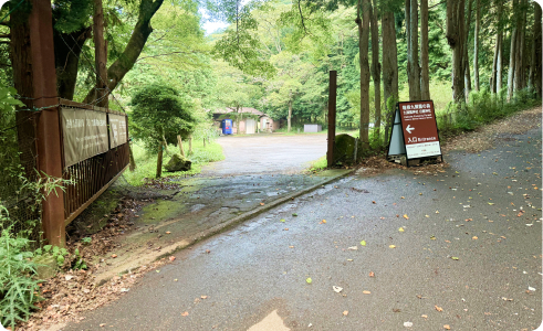 箱根 九頭龍の森入口