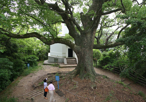 元宇品公園