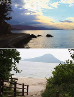 ホテル周辺海岸