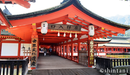 厳島神社参拝