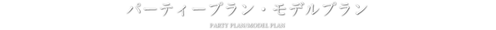 ケータリング - パーティープラン・モデルプラン