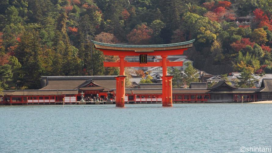 厳島神社 大鳥居イメージ