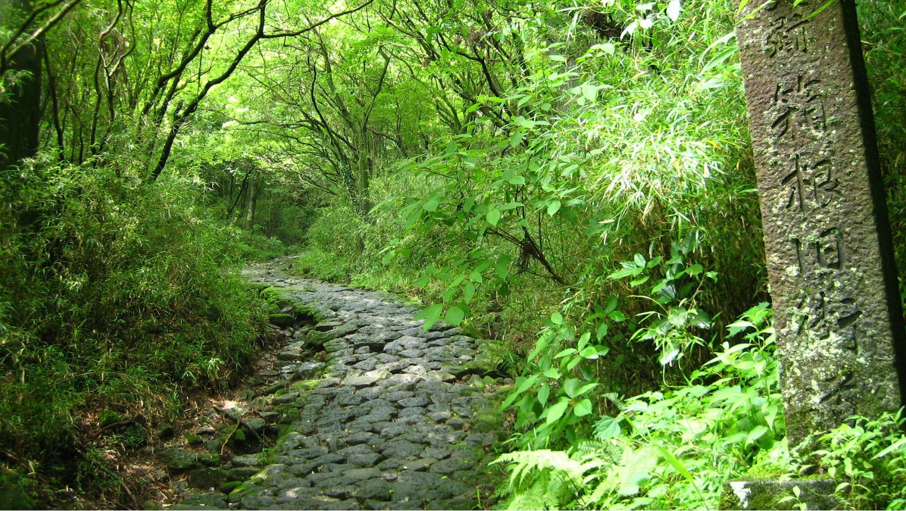 箱根旧街道イメージ