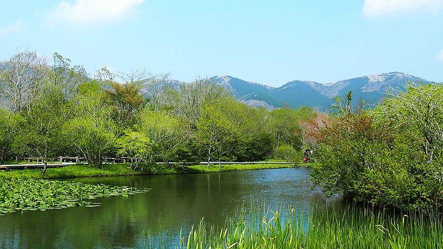 湿生花園イメージ