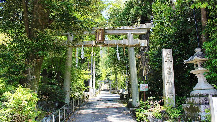 崇道神社の参道