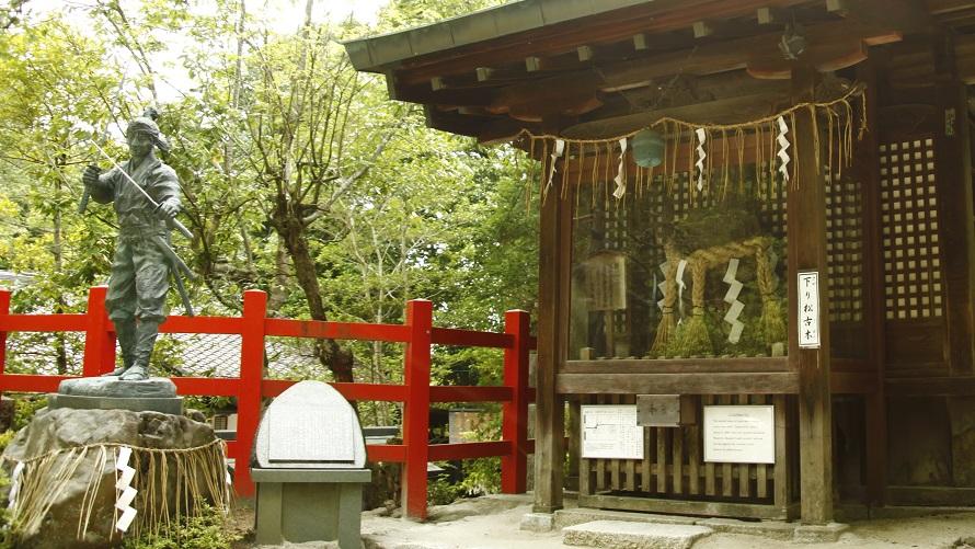 宮本武蔵像と御神木として祀られている「一乗寺下り松古木」