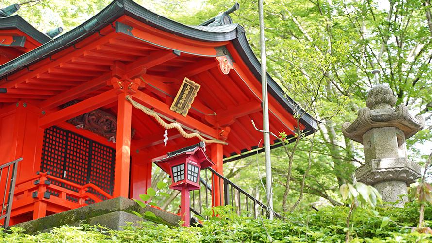 箱根九頭龍の森の園内に鎮座する九頭龍神社