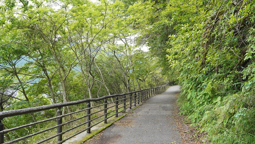 散策路イメージ