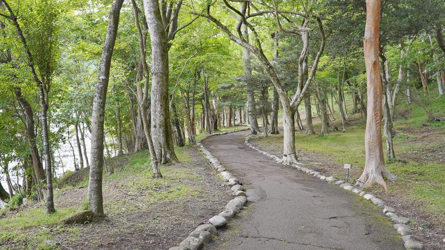 園内遊歩道イメージ