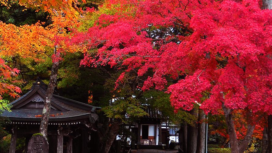 長安寺イメージ