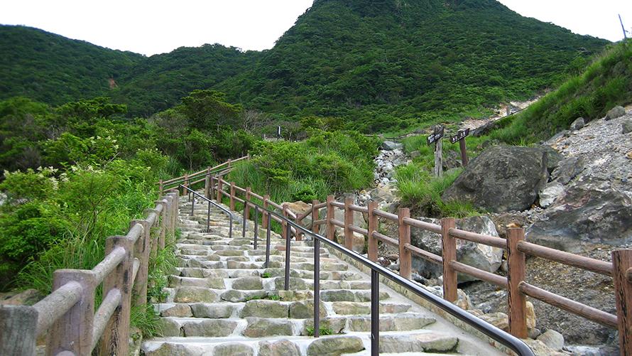 自然研究路イメージ
