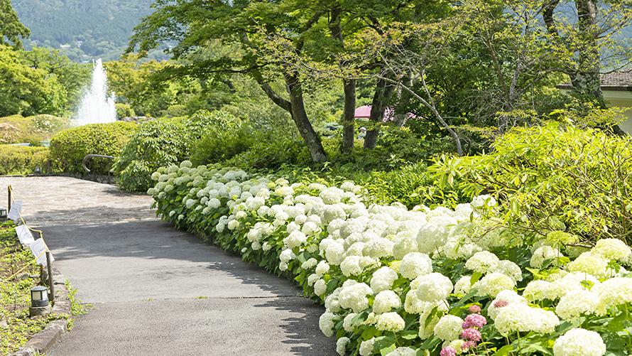 強羅公園