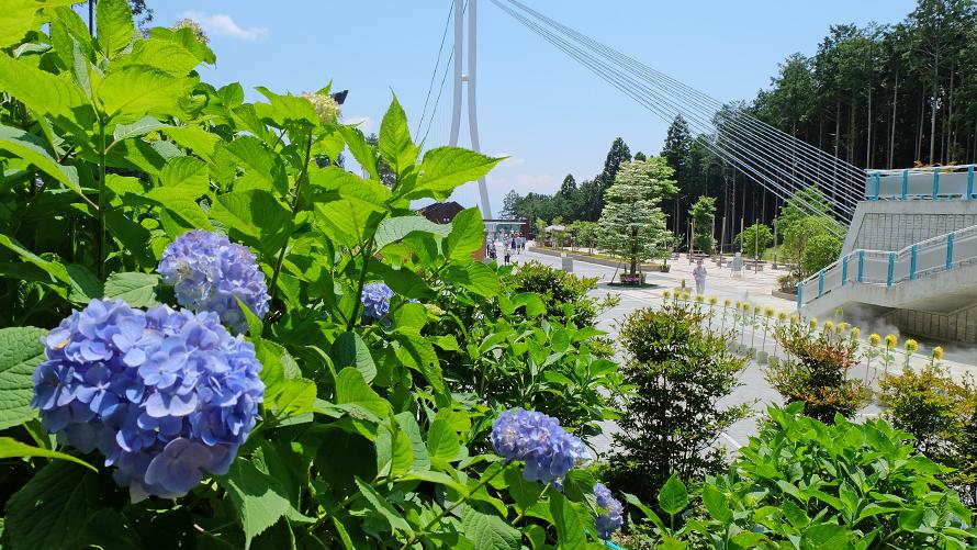 三島スカイウォーク