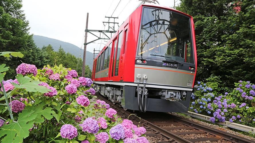 あじさい電車