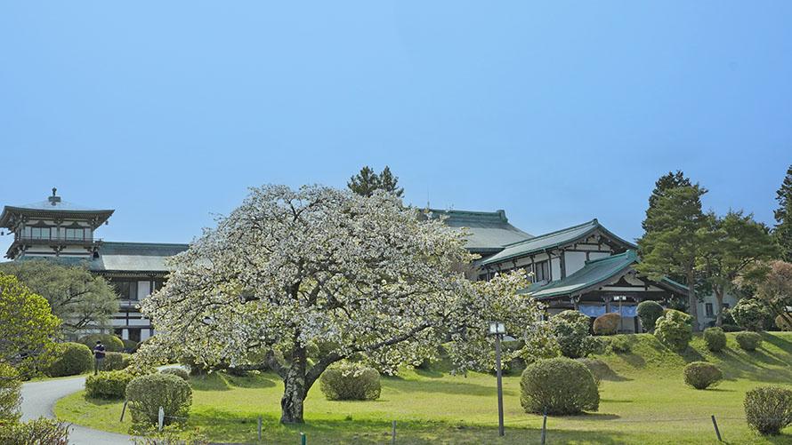 龍宮殿本館