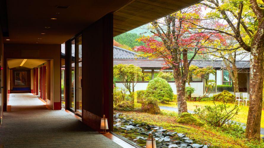 紅葉の中庭
