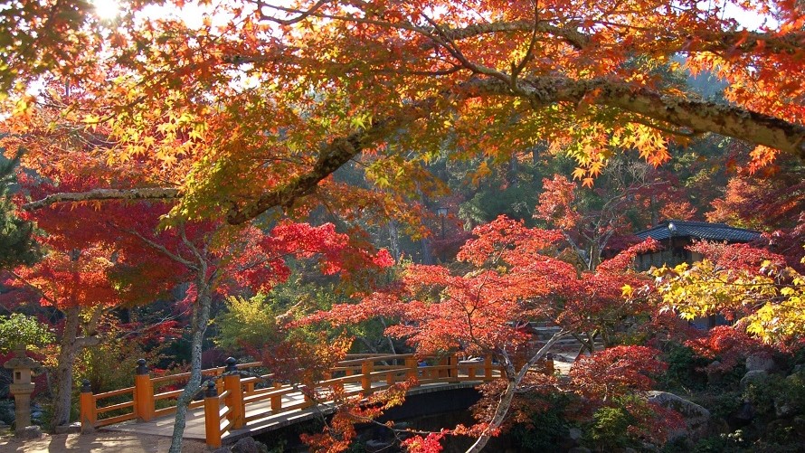 宮島の秋の紅葉谷公園イメージ