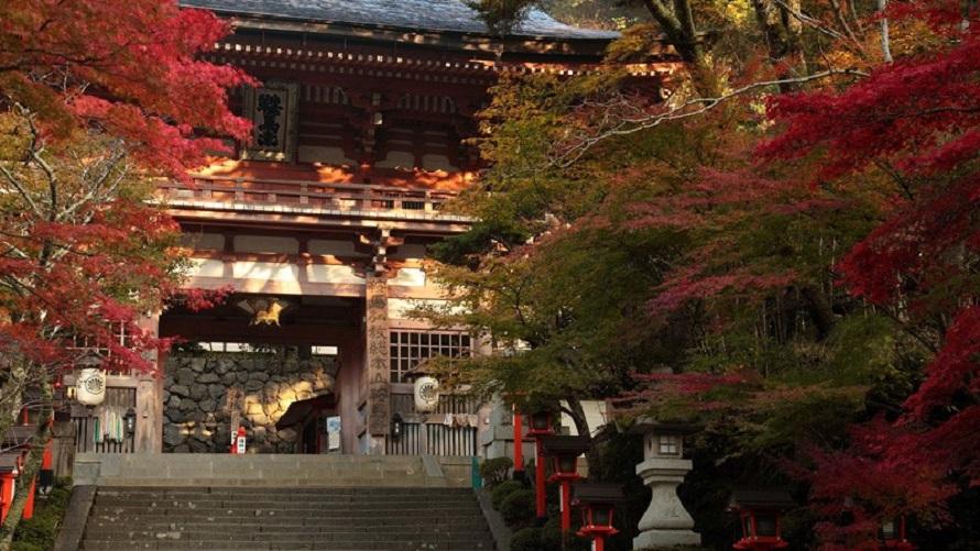 鞍馬寺の紅葉