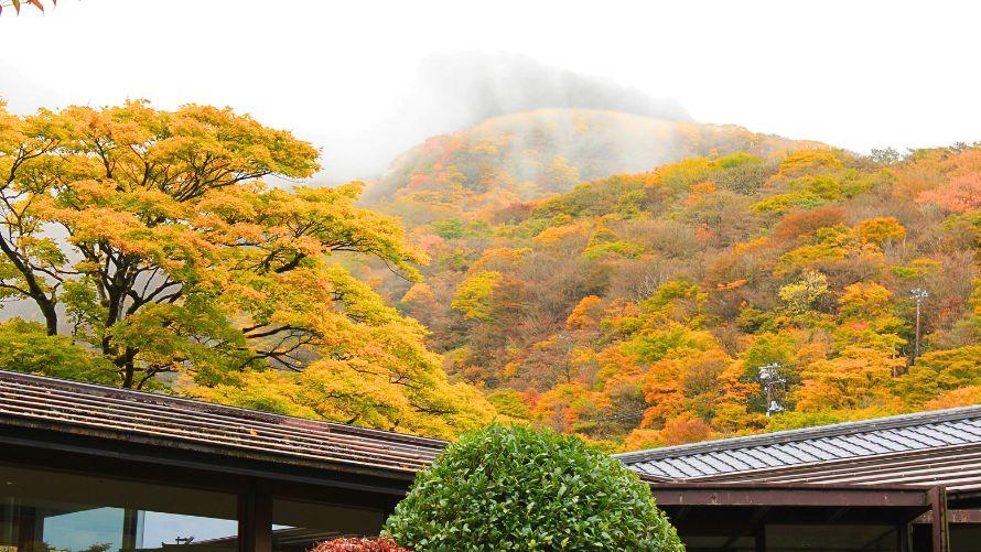 紅葉の中庭