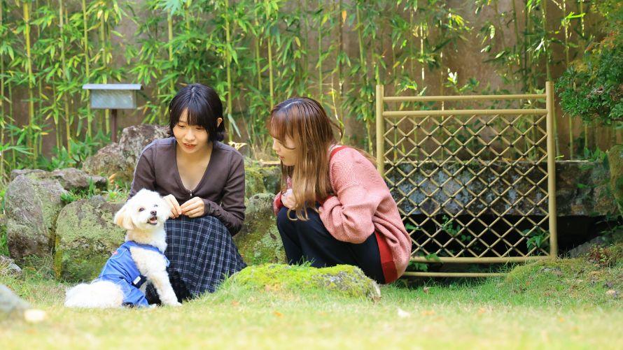 女性２名が坪庭でわんちゃんと遊ぶ。